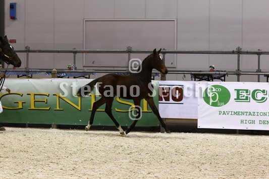 PAN CARRE_MILANO_2010_SS3_8337.jpg